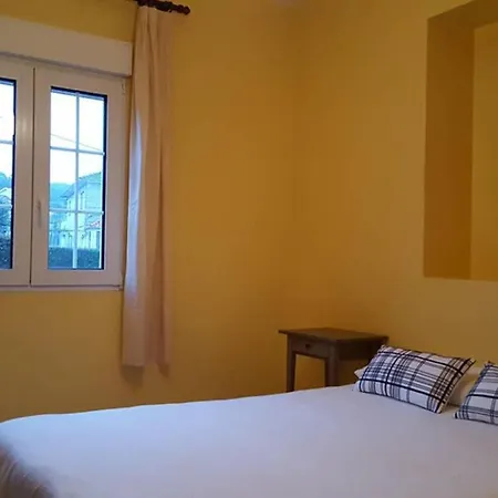 Rosa *